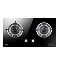 志高(CHIGO)F210D双灶眼燃气灶(液化气)4.8KW大火力 台式嵌入式两用蓝焰炫火灶具