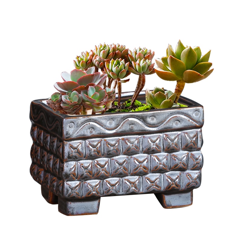 多肉花盆粗陶透气小口径 肉肉植物中小盆栽 简约创意老桩陶瓷盆器