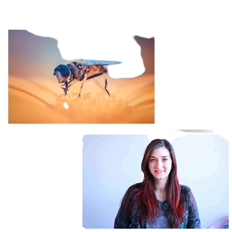 iDiskk 奥尼(aoni)A31电脑摄像头自动对焦高清直播1080P内置麦克风台式机笔记本摄像头