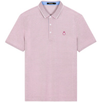 千纸鹤男装上衣2020春季新款翻领修身短袖polo衫男夏装25252