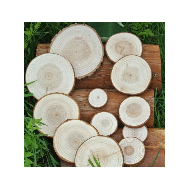 挂饰装饰画圆片年轮(多种规格20片)