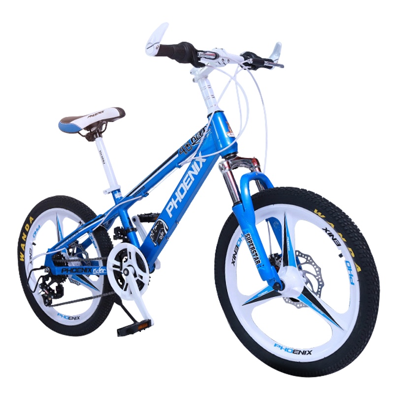 凤凰牌 儿童山地自行车20/22寸男女孩小学生车11-13-15岁变速单车
