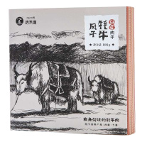 极净当雄风干牦牛肉干108g/盒 青藏高原有身份证的牦牛肉干 香辣味