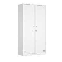 星岛钢制更衣柜员工储物柜文件柜浴室鞋柜铁皮柜落地凭证柜带锁存包柜2门更衣柜