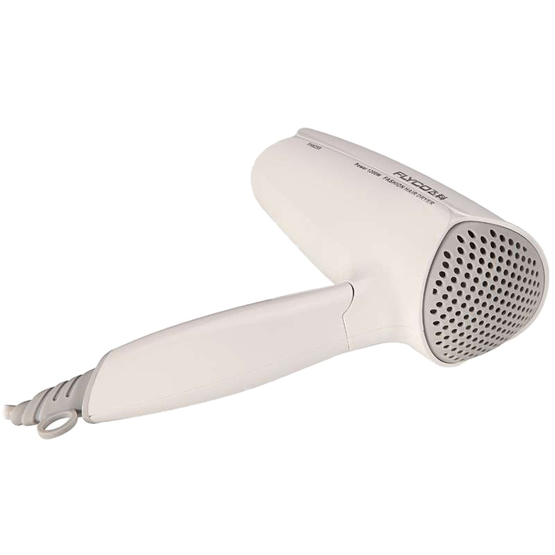 飞科(FLYCO)电吹风FH6255