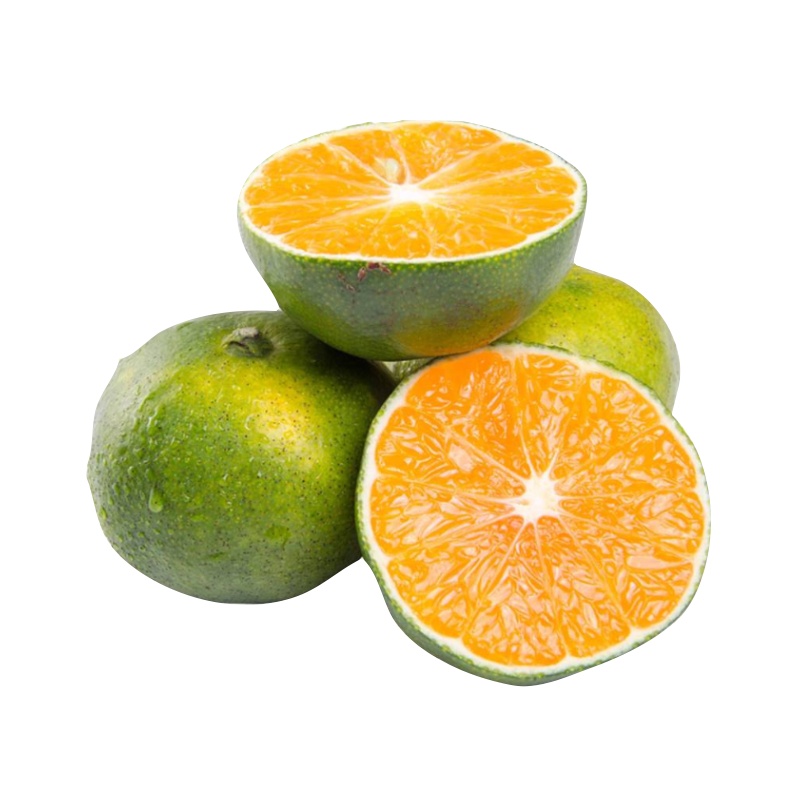 顺丰快递[西沛生鲜] 云南高原沃柑 9斤装 单果70-75mm 大果 时令现摘柑橘子当季蜜桔整箱新鲜水果