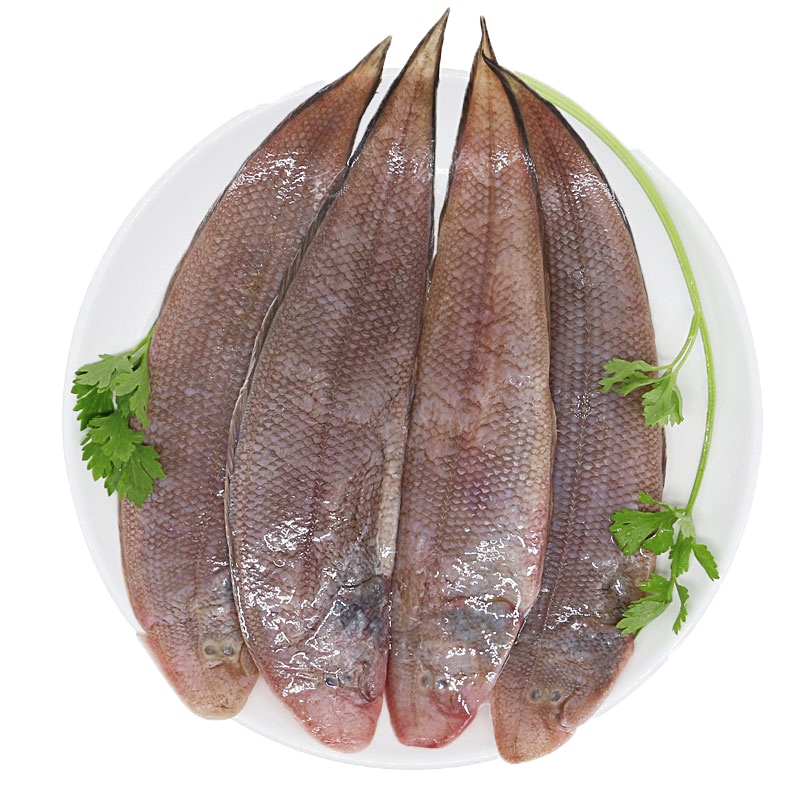 [四海生鲜]东山岛渔船现捕龙利鱼舌头鱼牛舌鱼新鲜海鲜水产 500g