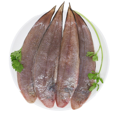 [四海生鲜]东山岛渔船现捕龙利鱼舌头鱼牛舌鱼新鲜海鲜水产 500g