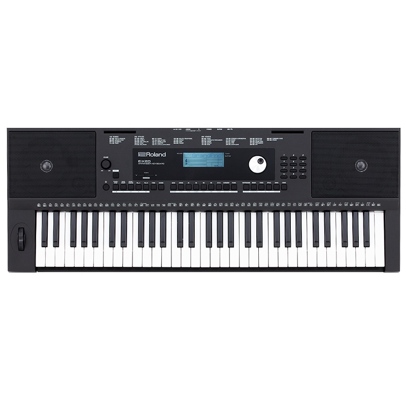 罗兰(Roland)E-X20电子琴 初学入门智能演奏电子琴 61键多功能电子琴 双电模式电子琴