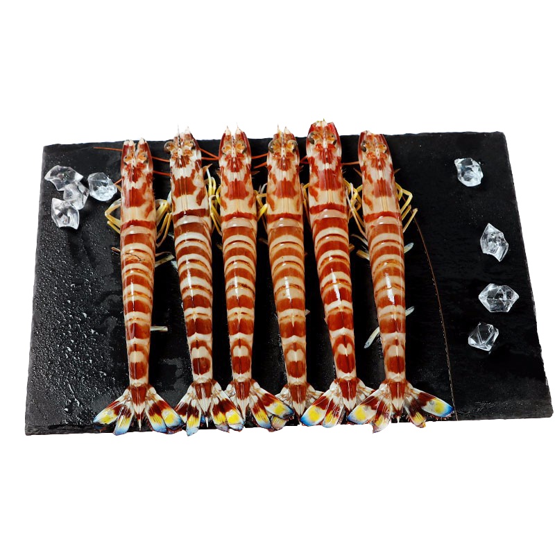 [四海生鲜] 东山岛海捕斑节虾(4-5条)/盒虾九节虾竹节虾 新鲜海鲜水产 400g 海鲜火锅食材