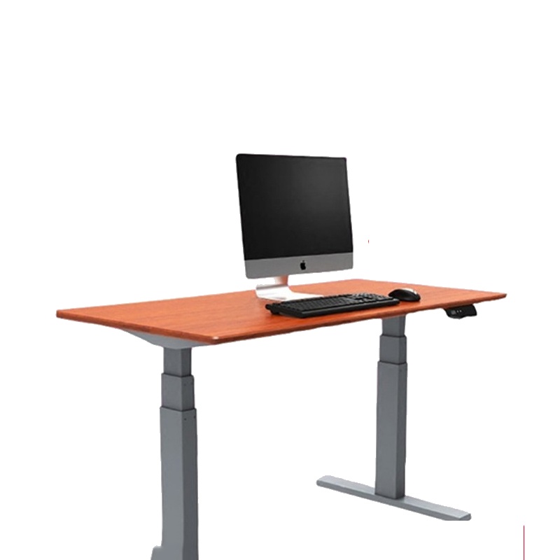 乐歌 Loctek E3 升降桌腿 人体工学站立办公电动升降桌学习桌亲子桌站着办公升降桌