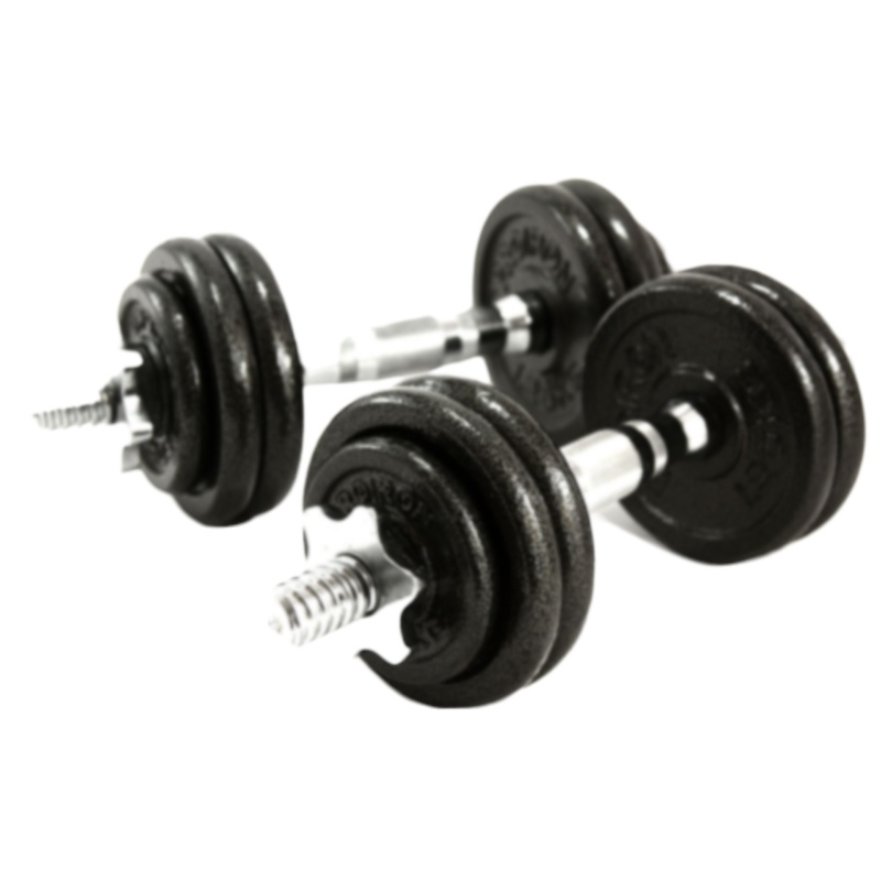 纯铁哑铃RS杠铃15KG男士健身器材家用哑铃