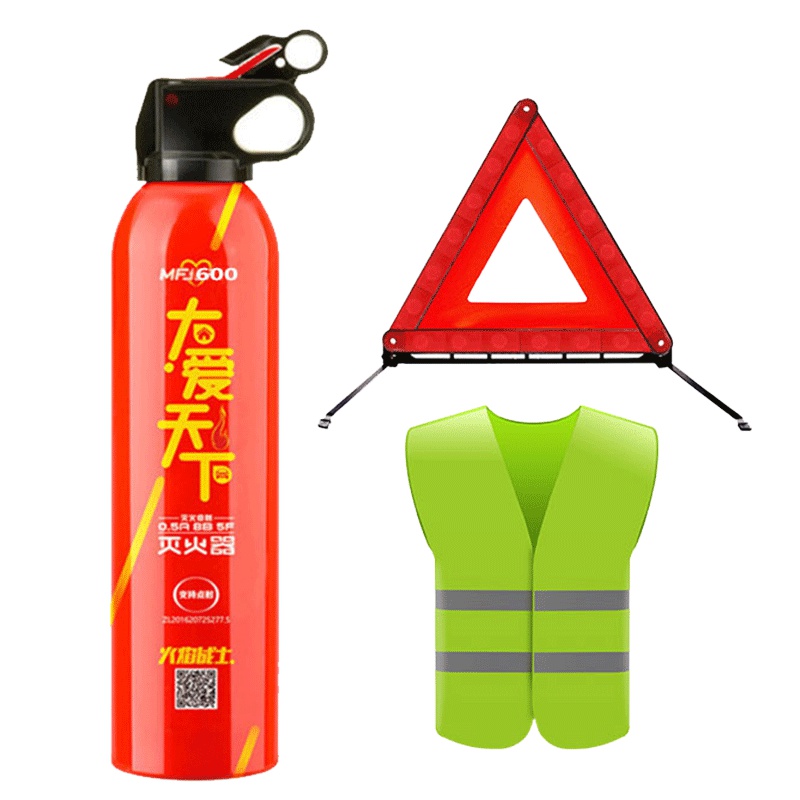 FlameFighter(火焰战士)车载灭火器汽车用小型便携家用小车轿车干粉消防器材年检520g