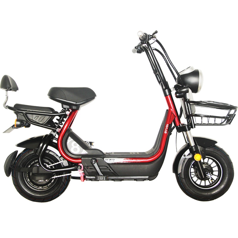 比德文电瓶车锂电池电动车电动自行车魔王pro 可取充电TDT1819Z