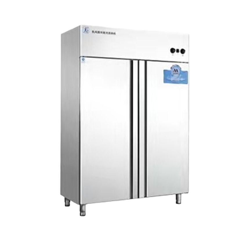 双门热风高温消毒柜rtp720jl-12定制款超大功率绿色环保