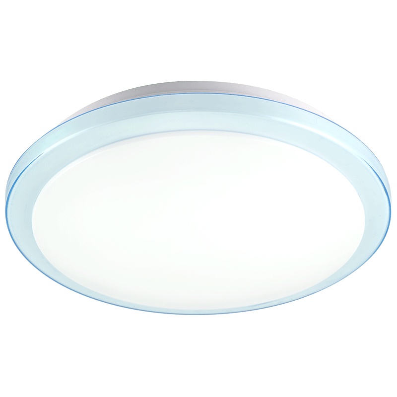 雷士照明(NVC)LED吸顶灯卧室阳台走廊过道玄关书房灯简约现代风格亚克力圆形灯饰灯具24W白光适用面积10-12平米