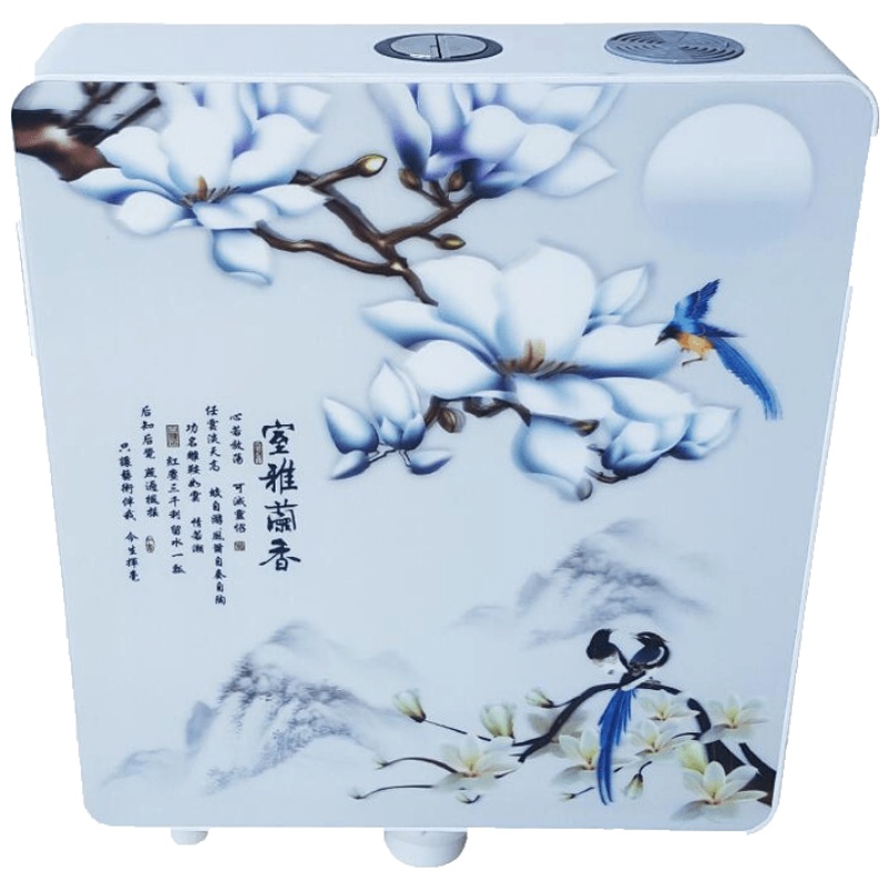 家用新款卫生间大冲力 节能 静音 蹲坑 抽水马桶蹲便器厕所冲水箱安心抵