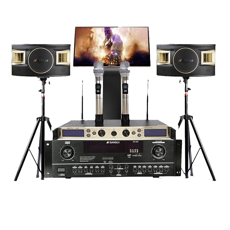 山水SP-10会议专用音箱