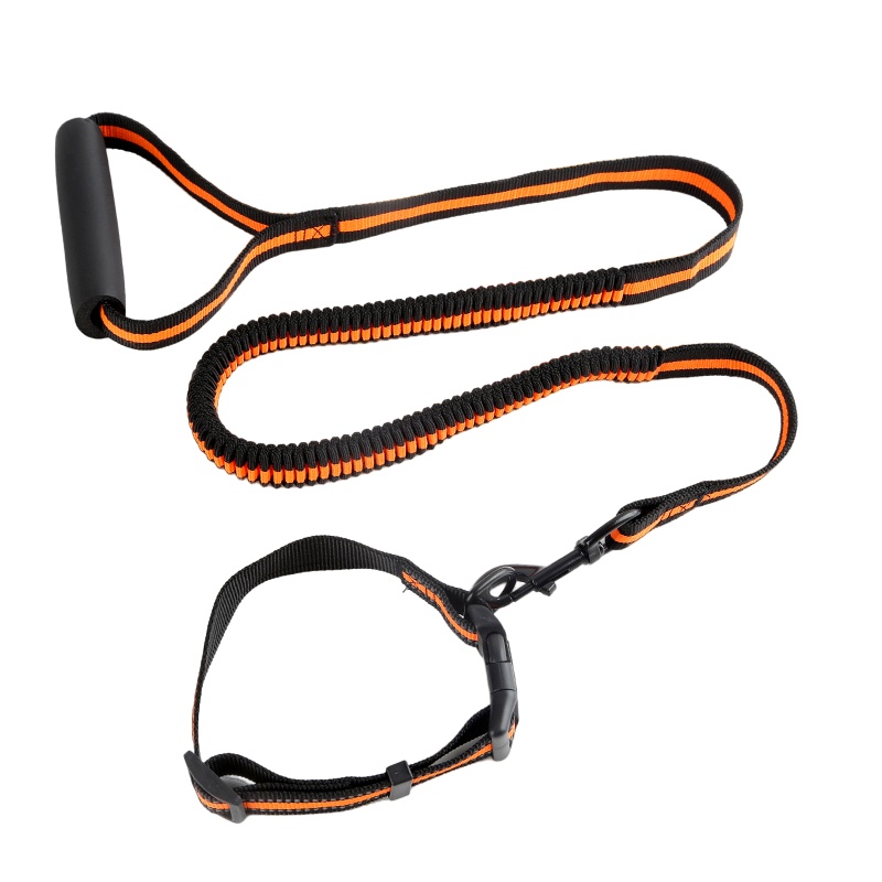 七彩屋sportline 吸震牵引绳+项圈-桔黄-L