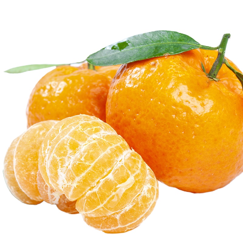 纽荷尔脐橙80mm 5斤装大果新鲜水果