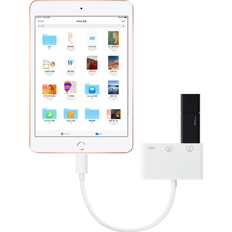 久宇 苹果iPad10.2英寸扩展坞苹果转接器iPad Air/Pro/mini拓展坞iPhone11手机OTG转接头