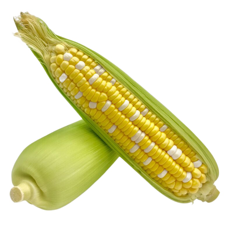 3斤普通装 现摘新鲜玉米棒 水果玉米 甜玉米甜脆包谷爆浆可生吃玉米现摘新鲜玉米带箱糯玉米当季水果鲜玉米棒甜玉米花