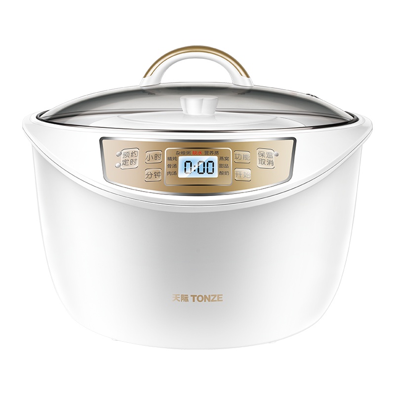 天际水密封隔水炖盅电炖锅陶瓷内胆煮粥煲汤锅一锅五胆养生电炖锅全自动预约定时3-4L/3.2升 DGD32-W132B