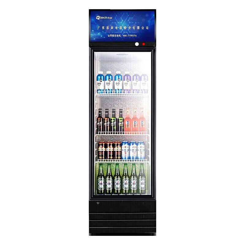 友田（YOUTIAN）商用展示柜 246升大容量立式单门双门冷藏展示柜 超市酒吧餐饮便利店饮料啤酒直冷保鲜柜LC-246