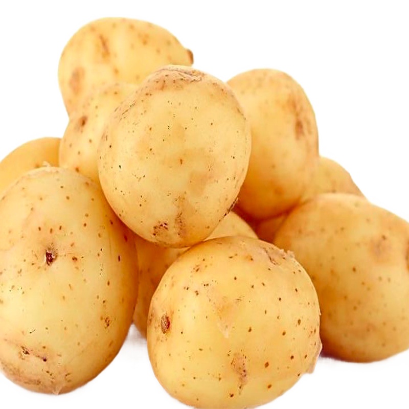 黄皮黄心土豆新鲜农家自种安徽阜阳黄皮洋芋黄皮马铃薯5斤黄皮小土豆新鲜蔬菜马铃薯洋芋带箱农家自种