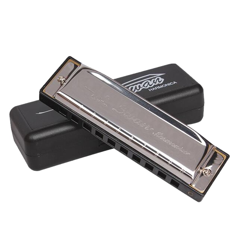 天鹅(Tian E)10孔布鲁斯口琴C调儿童初学者成人蓝调十孔入门口琴乐器其他