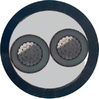 秦源牌 YJLV-0.6/1KV-2*25mm² 铝芯低压电力电缆 元/米 定制商品 联系客服