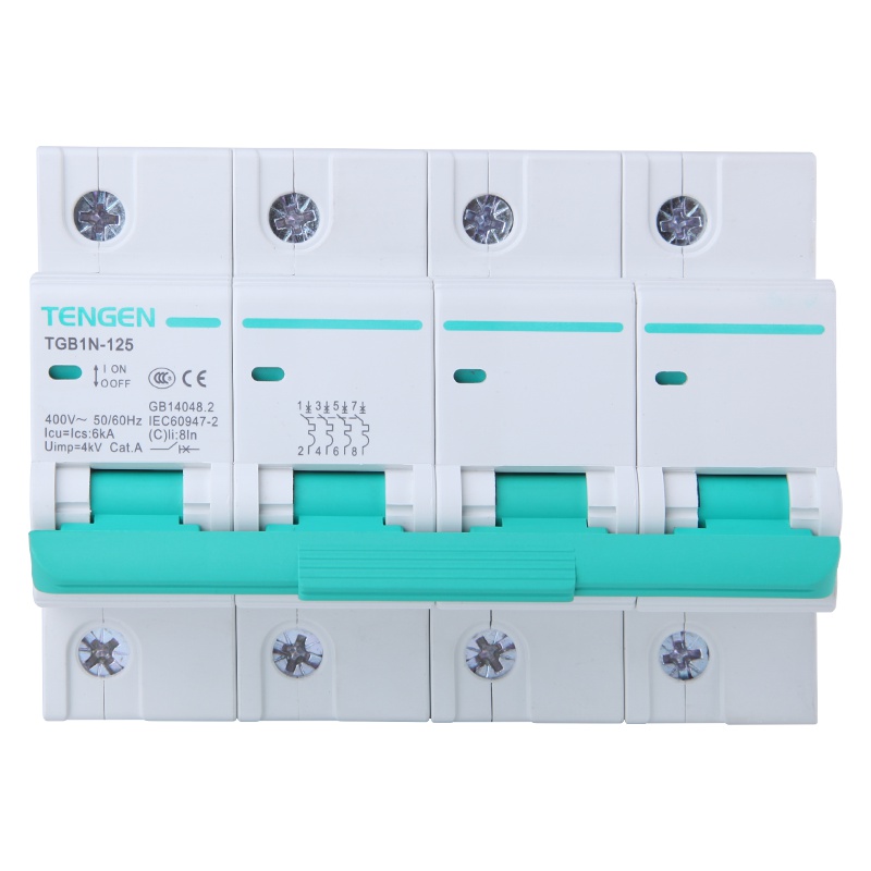 天正电气 空气开关 TGB1N-125 4P C 63A 6kA 01060280041 微型断路器