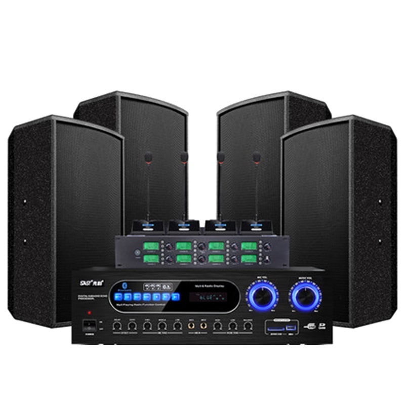 先科K3专业大中小型会议室音响套装音箱功放室内挂墙KTV舞台教学舞蹈卡拉ok卡包 4只10寸音响 一拖二U段会议话筒