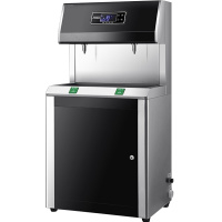 德玛仕直饮水机 学校幼儿园办公室开水器 直饮机商用SRZ-20/SRZ-UF-2L（L3幼儿园）柜式(LG一开一温)