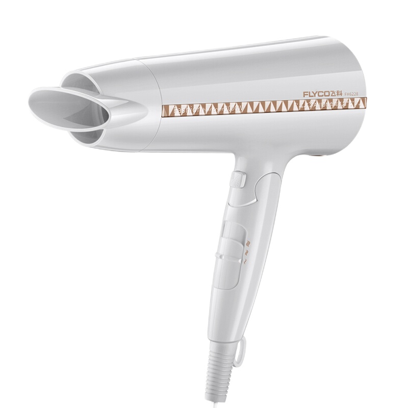 飞科(FLYCO) 电吹风 FH6228