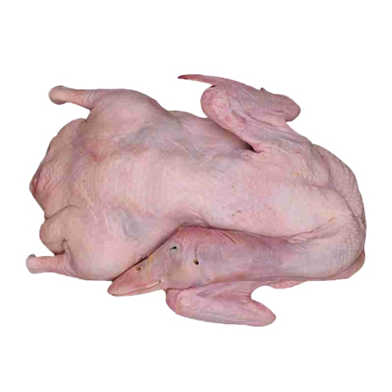 农村散养活鸭子肉宰杀土鸭整只新鲜鸭子鸭脖鸭头鸭胗鸭腿鸭舌新鲜 [两年老鸭]1只装3/3.5斤