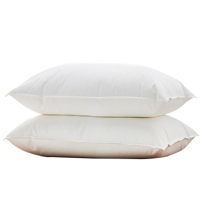 苏宁极物依沃珑阻螨枕德国进口阻螨面料单人枕芯五星级酒店枕头 成人家用单只装