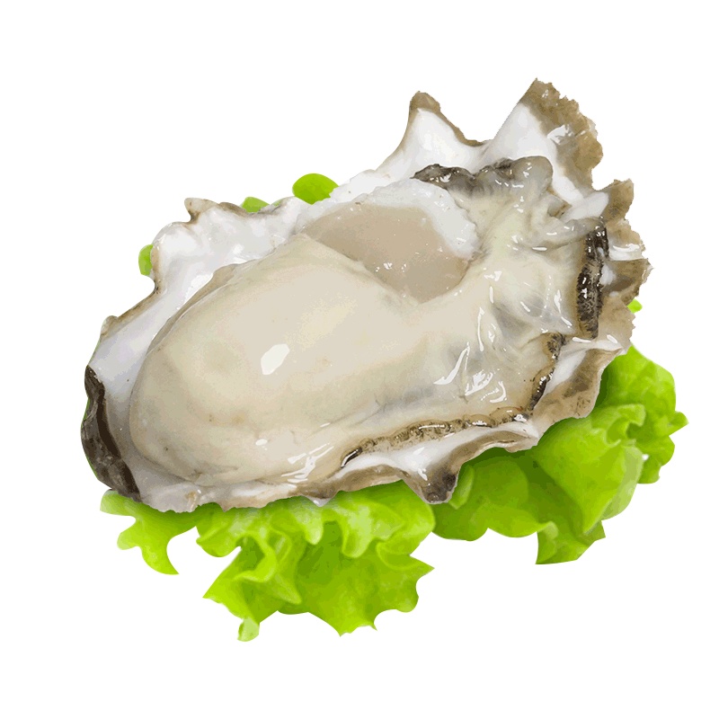 [五个农民]生蚝鲜活5斤XXXL码 (一斤3-4个) 海鲜水产海蛎子贝壳新鲜牡蛎带壳烧烤