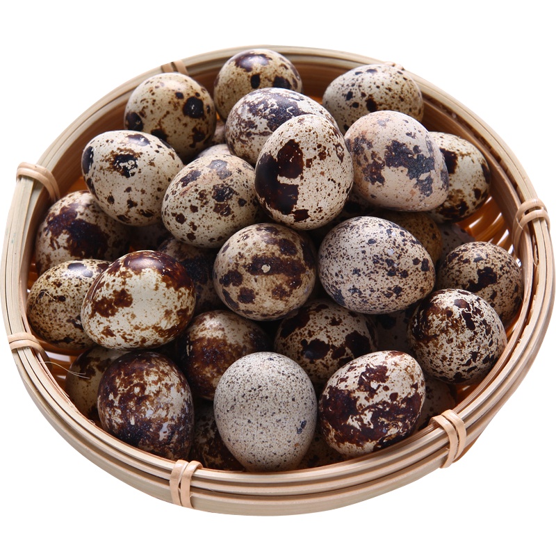 桃小淘 新鲜生鹌鹑蛋50枚 农家散养  非鸡蛋鹅蛋鸽子蛋鸭蛋