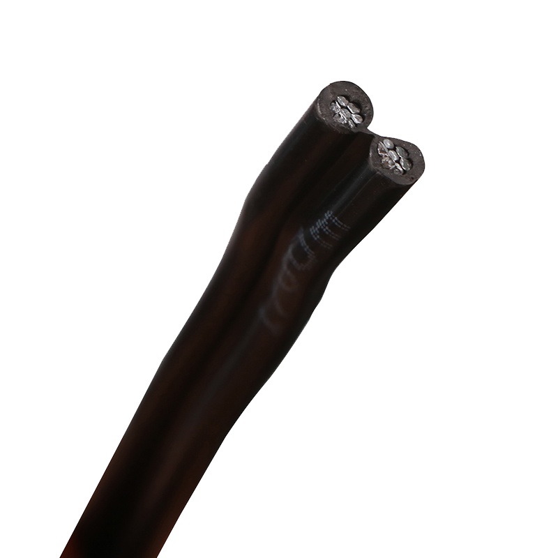 傻实在(SHASHIZAI) 电线 国标铝平行 黑色 100米 BLVBW 2*10 盘