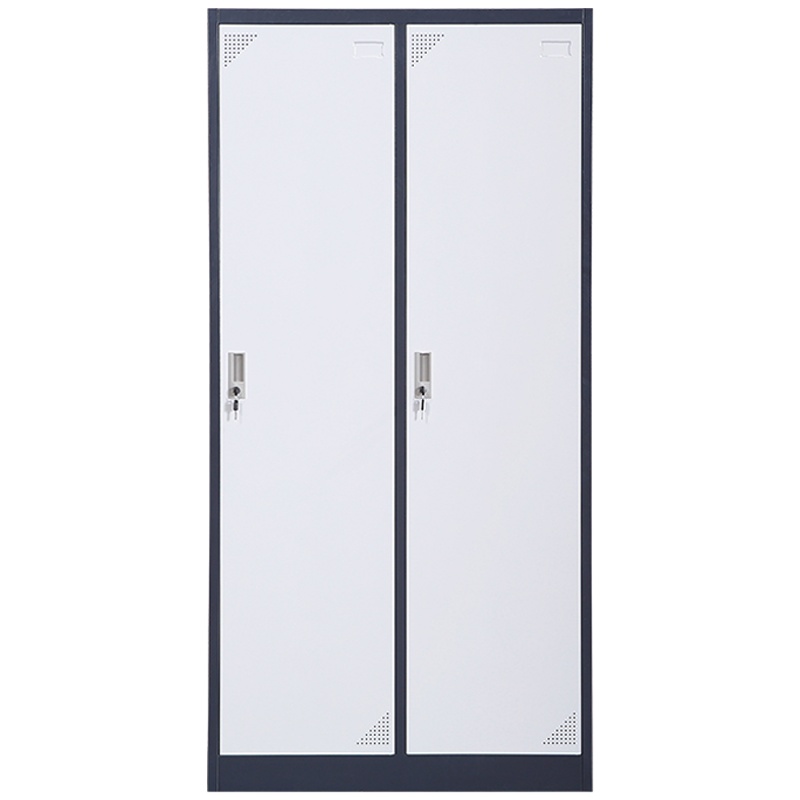 三圣 办公家具加厚二门套色铁皮柜更衣柜 员工储物柜 存放鞋包柜 其他金属更衣柜多功能