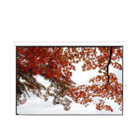 阿波罗200英寸4:3电动遥控玻纤幕布