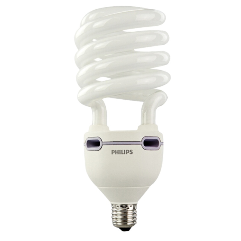 PHILIPS 飞利浦螺旋 节能灯 E27 白光 45W 1支