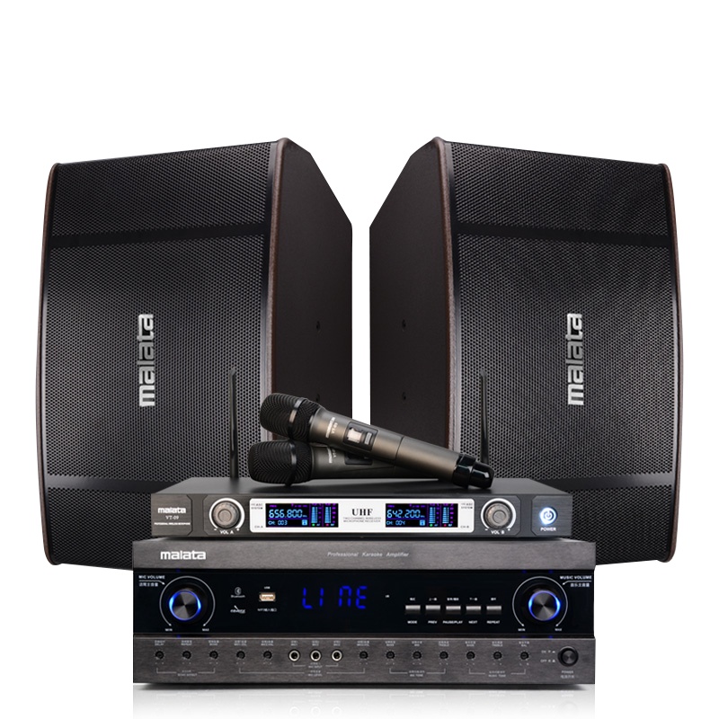 万利达(MALATA ) BY-1808 家庭影院ktv音响组合套装无线蓝牙 家用会议蓝牙功放音箱组合卡拉OK会议舞台