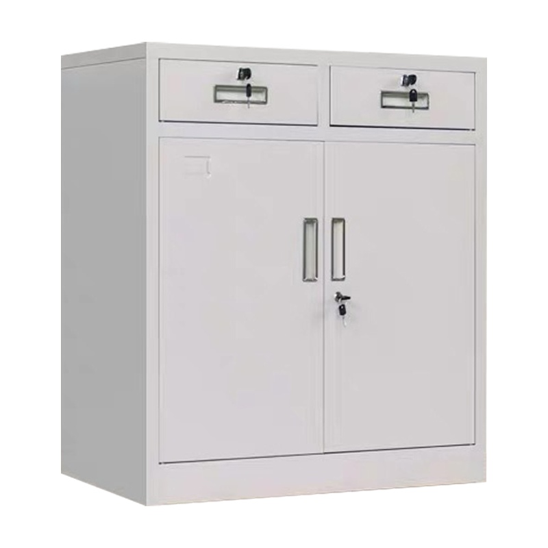 汉诺鑫威钢制文件柜办公室铁皮柜资料档案柜中二斗矮柜带锁储物柜厂家直销