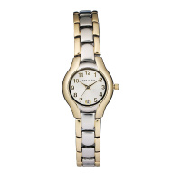 安妮克莱因（ANNE KLEIN）简约经典系列时尚简约休闲合金表带石英女士手表10/6777SVTT