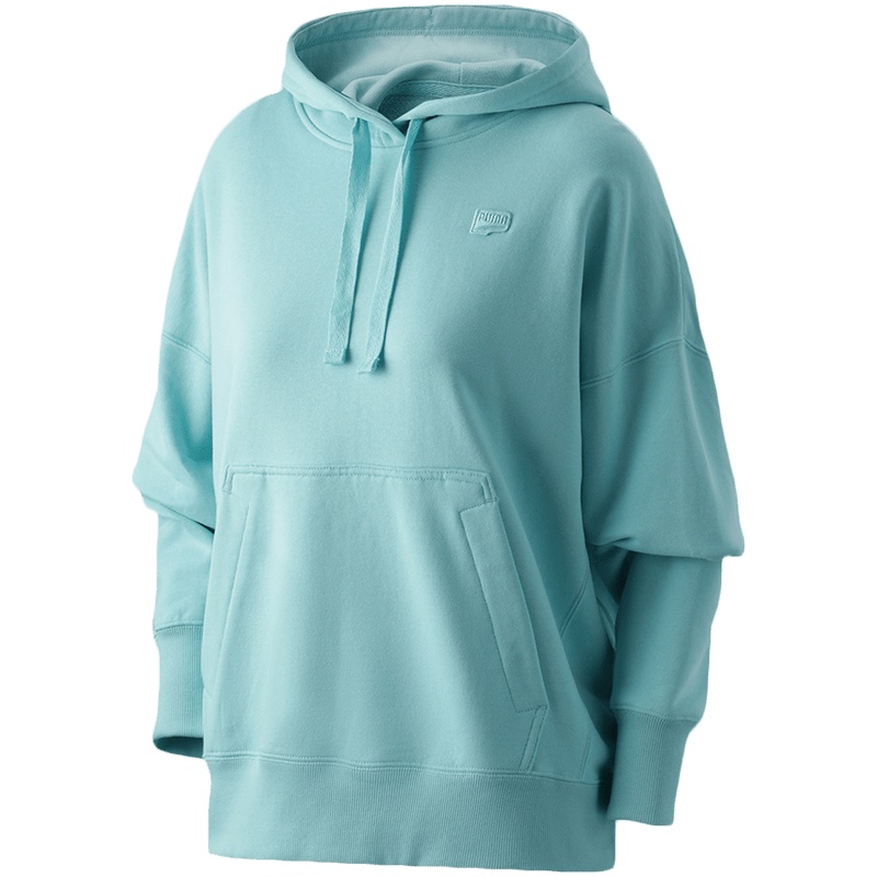 PUMA彪马女装运动服休闲连帽卫衣531439