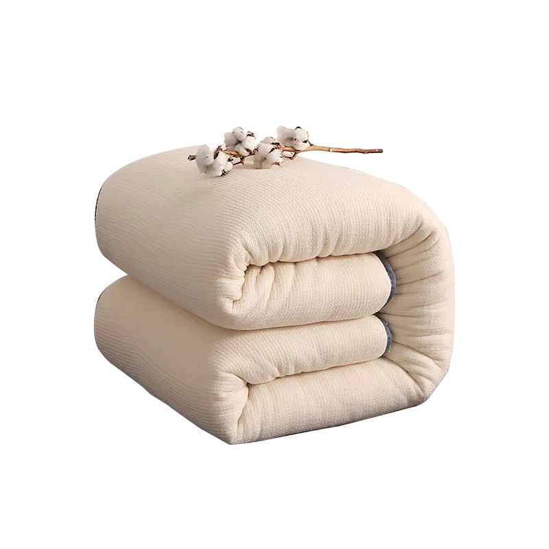 [理政]棉花被 单双人春秋被 宿舍公寓棉花被 1.8米 褥子