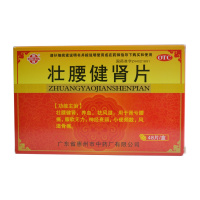 鹅城 壮腰健肾片 48片/盒 RK