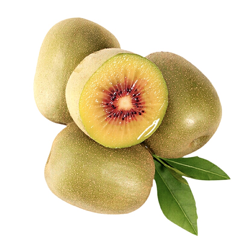 波得 四川蒲江红心猕猴桃礼盒 国产奇异果礼盒 新鲜水果 24粒4.8斤(单果90-110克)